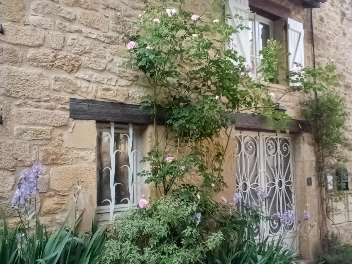 Terre D'Histoire - Baignade - Canoe - Piste Cyclable A 100 M Castelnaud-la-Chapelle Exterior foto