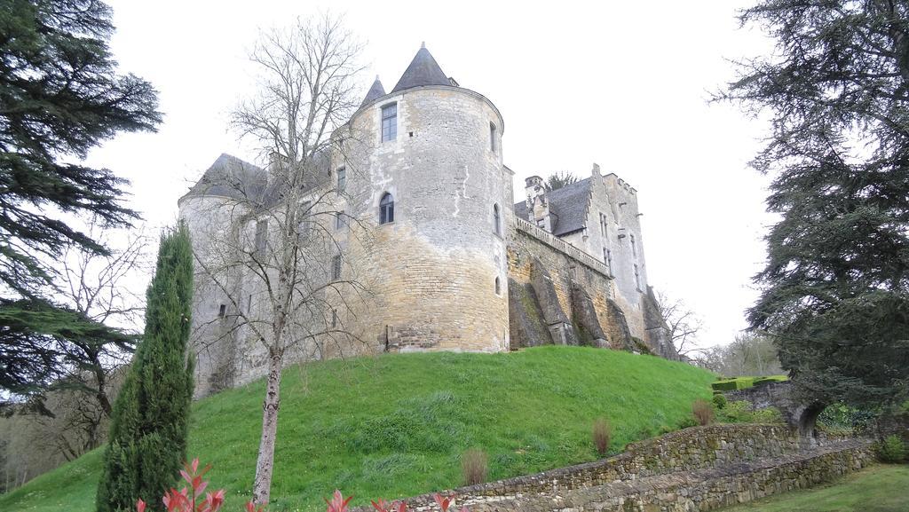 Terre D'Histoire - Baignade - Canoe - Piste Cyclable A 100 M Castelnaud-la-Chapelle Exterior foto